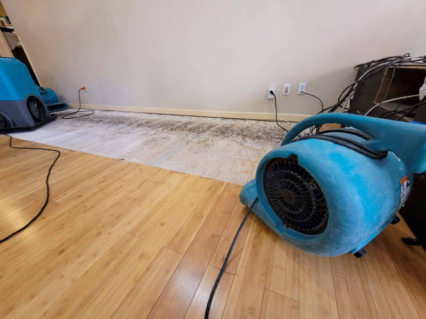 Reliable Basement Flood Cleanup contractor in Rockville, MD by Hirex Water Damage