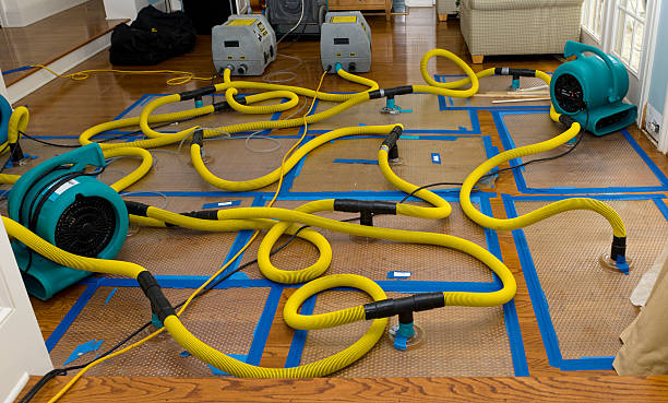 Professional Basement Flood Cleanup technician working in Rockville, MD